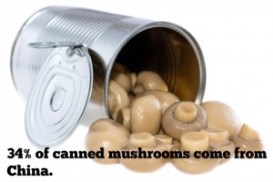 Canned_Mushrooms-480x320